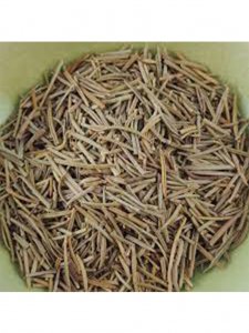 Organic Rosemary 20GM